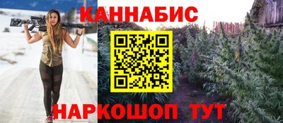 apvp Пушкино