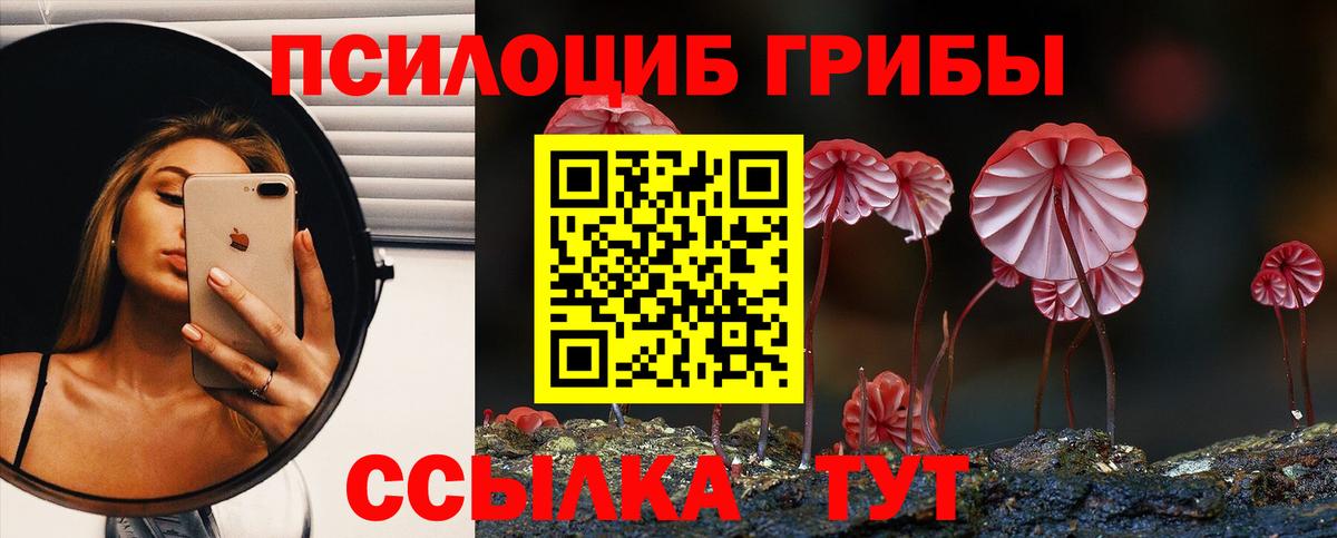 Галлюциногенные грибы Cubensis Астрахань
