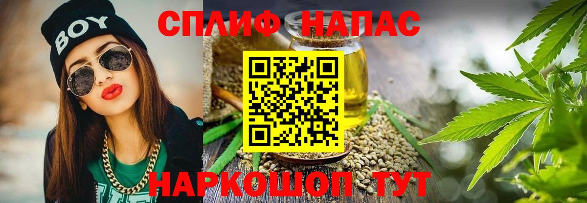 Каннабис сатива Астрахань
